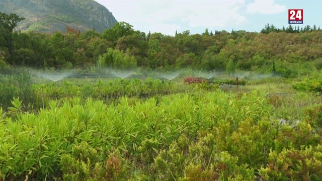 Д/ф «Наука и агробизнес: есть контакт!» 8 серия. Выращивай и украшай!