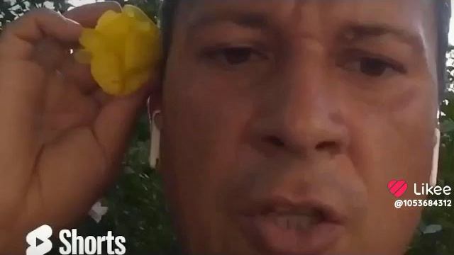 PROPHET. SHCHERBAKOV. ЩЕРБАКОВ АРТЁМ. СОЦСЕТЬ LIKEE