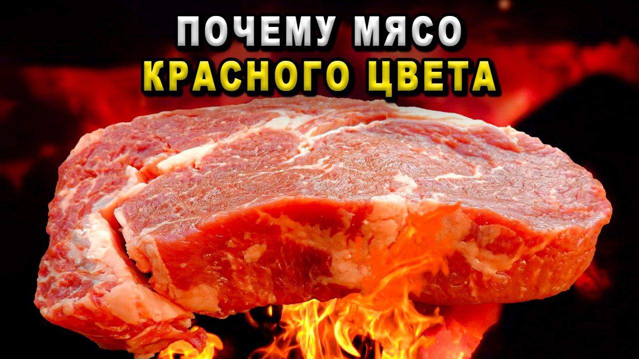 Почему мясо красного цвета