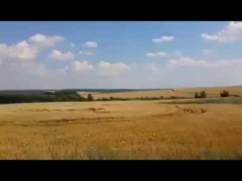 Обращение к подписчикам. Метелица по дороге в Олений.