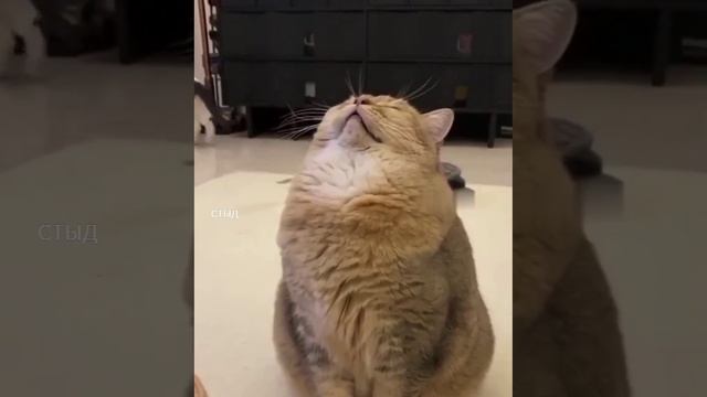 Это я полный сил и жизненной энергии собираюсь на работу #Это я #полный сил #жизненной энергии #соби