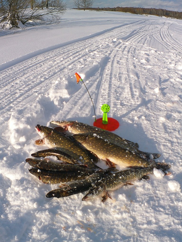 В поиске новых мест! Рыбалка 7-8.032023г.
