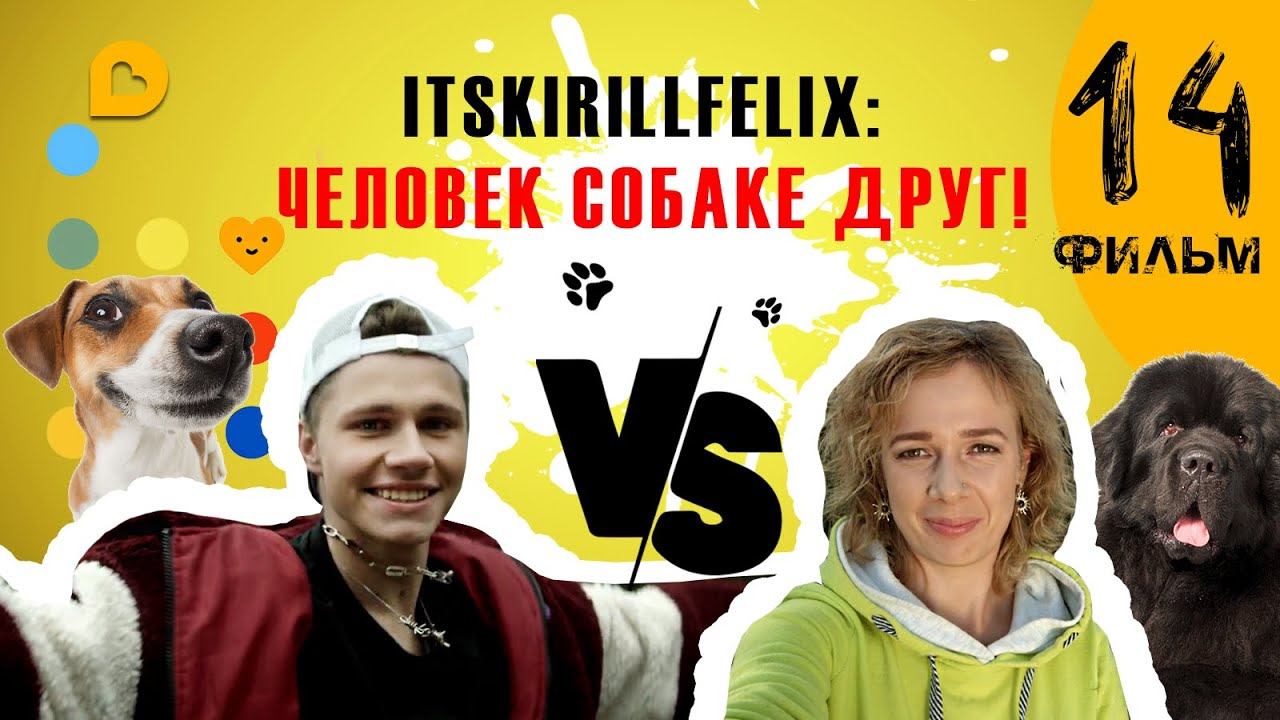 Как собаки спасают жизни? Волонтеры-кинологи|ProDobro.Life|Серия 14