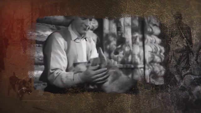 Объектив Победы Собаки Победы - документальный сериал о четвероногих бойцах. 3 серия.