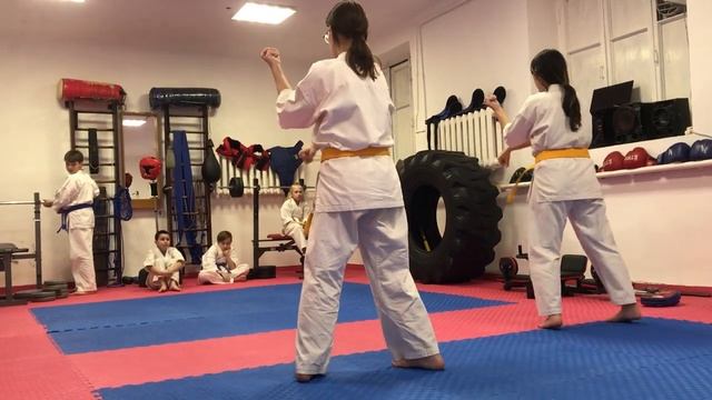 Подготовка к экзамену на зелёный пояс 19 апреля 2022 г. Панина Дарина и Сейфуллаева Айсель.