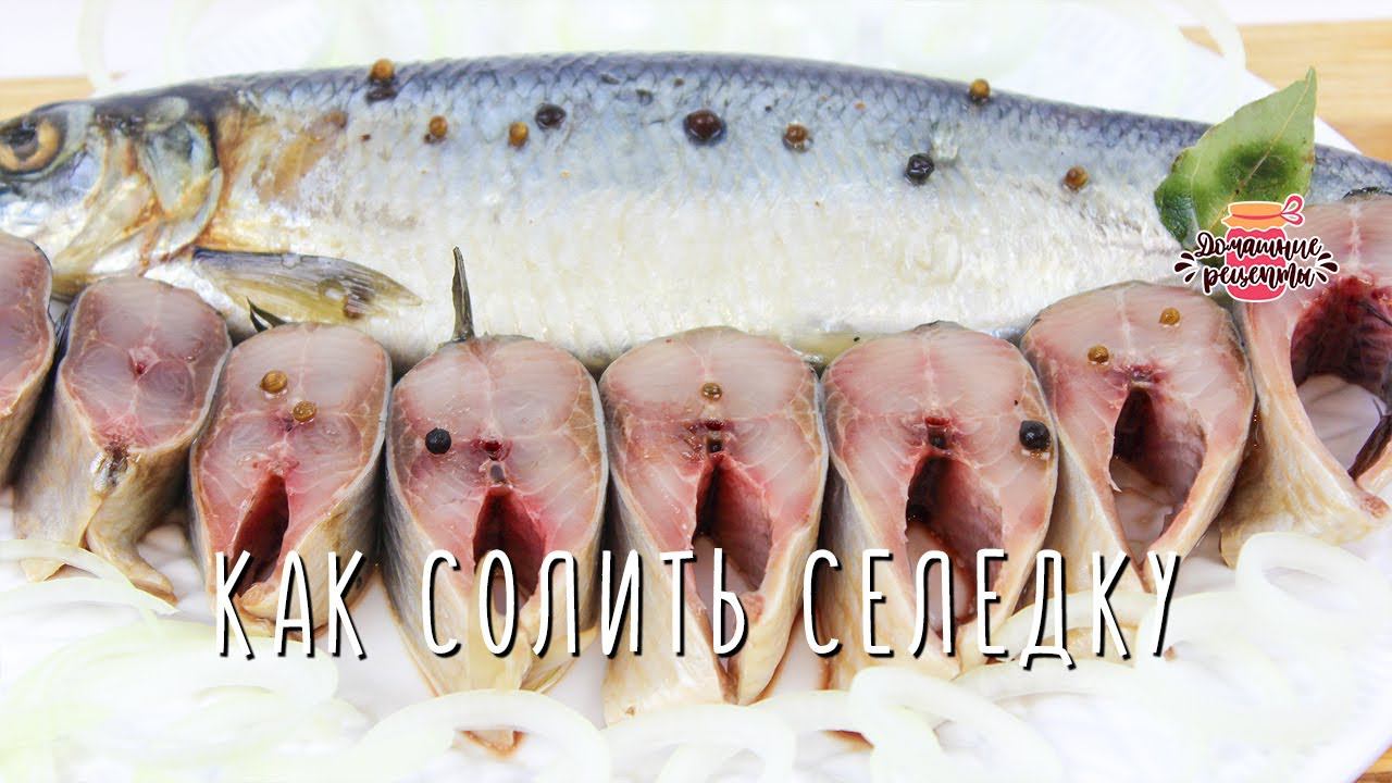 Как вкусно и безопасно солить селедку в домашних условиях (Испробовала многое!)