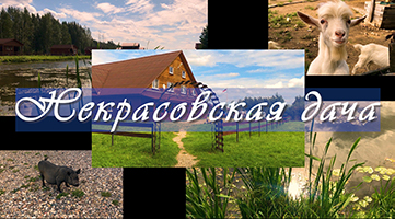 Ярославль. Где отдохнуть? Некрасовская дача -2". Yaroslavl. Where to rest? #dronevideo MAVIC 2pro