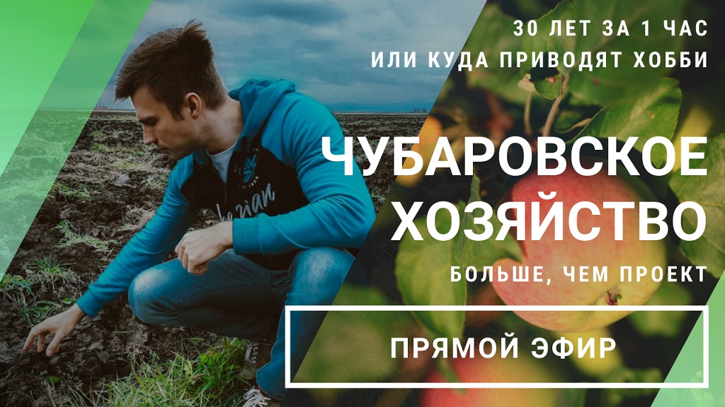 Прямой эфир «Чубаровское хозяйство. Больше, чем проект» // 29.06.2020