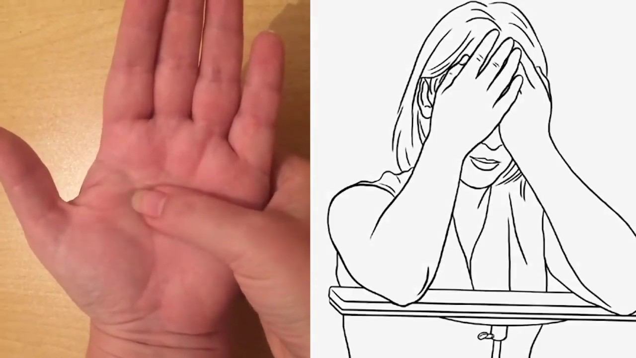 Палминг терапия. Марта Николаева Гарина