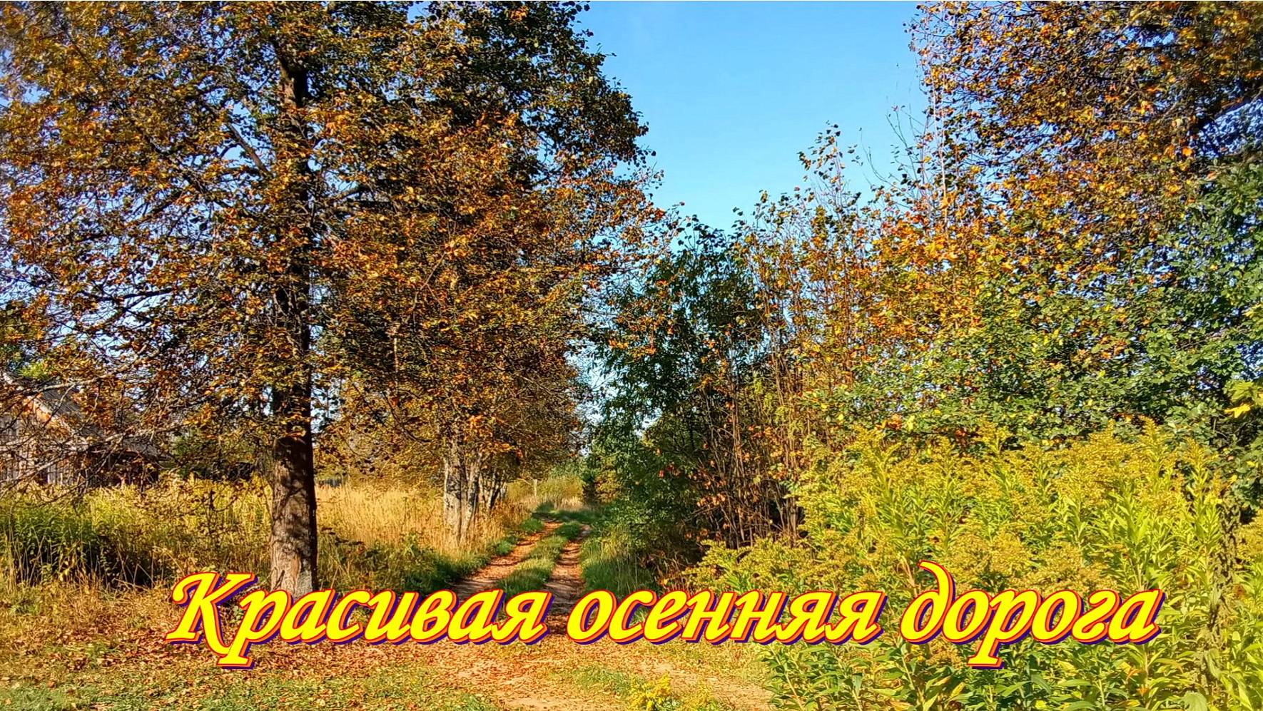 Красивая сентябрьская дорога. Путь в магазин.