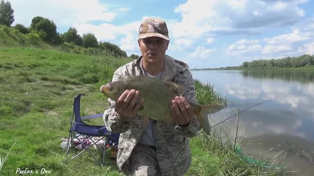 САЛО на ЛЕЩА! Рыбалка на донки, ловля леща! Рыбалка на Оке!
