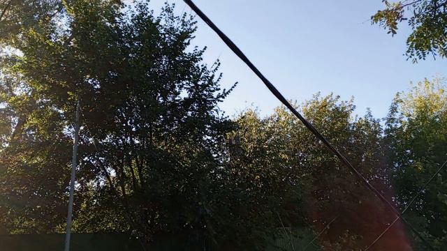 Последствия сильного штормового ветра 15.09.2024 г. Ростов-на-Дону, Россия