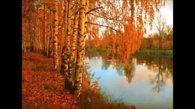 Краски осени...