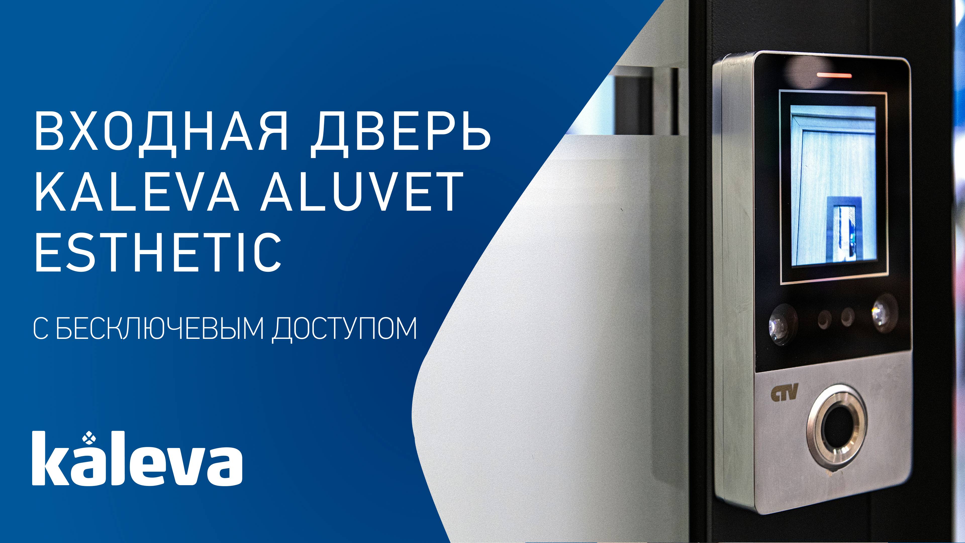 Входные двери в коттедж Kaleva Aluvet Esthetic