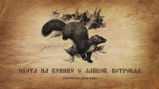 Охота на куницу с лайкой. Ветровал.
