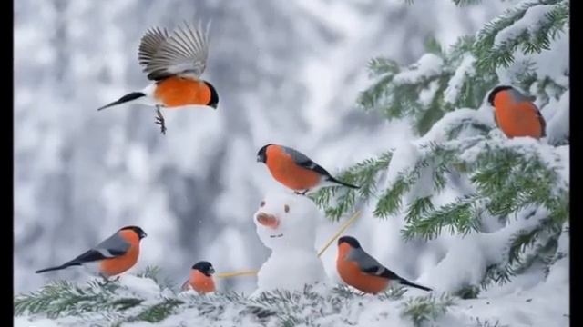 Зима. Мир животных...