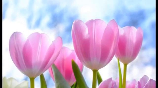 Привет, апрель!