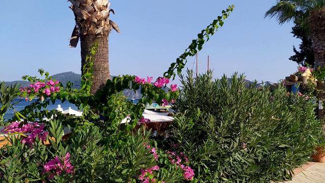 Прекрасный Мармарис!Турция.