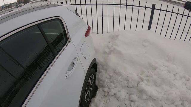 Что лучше Tiguan или Sportage. Сравнение!