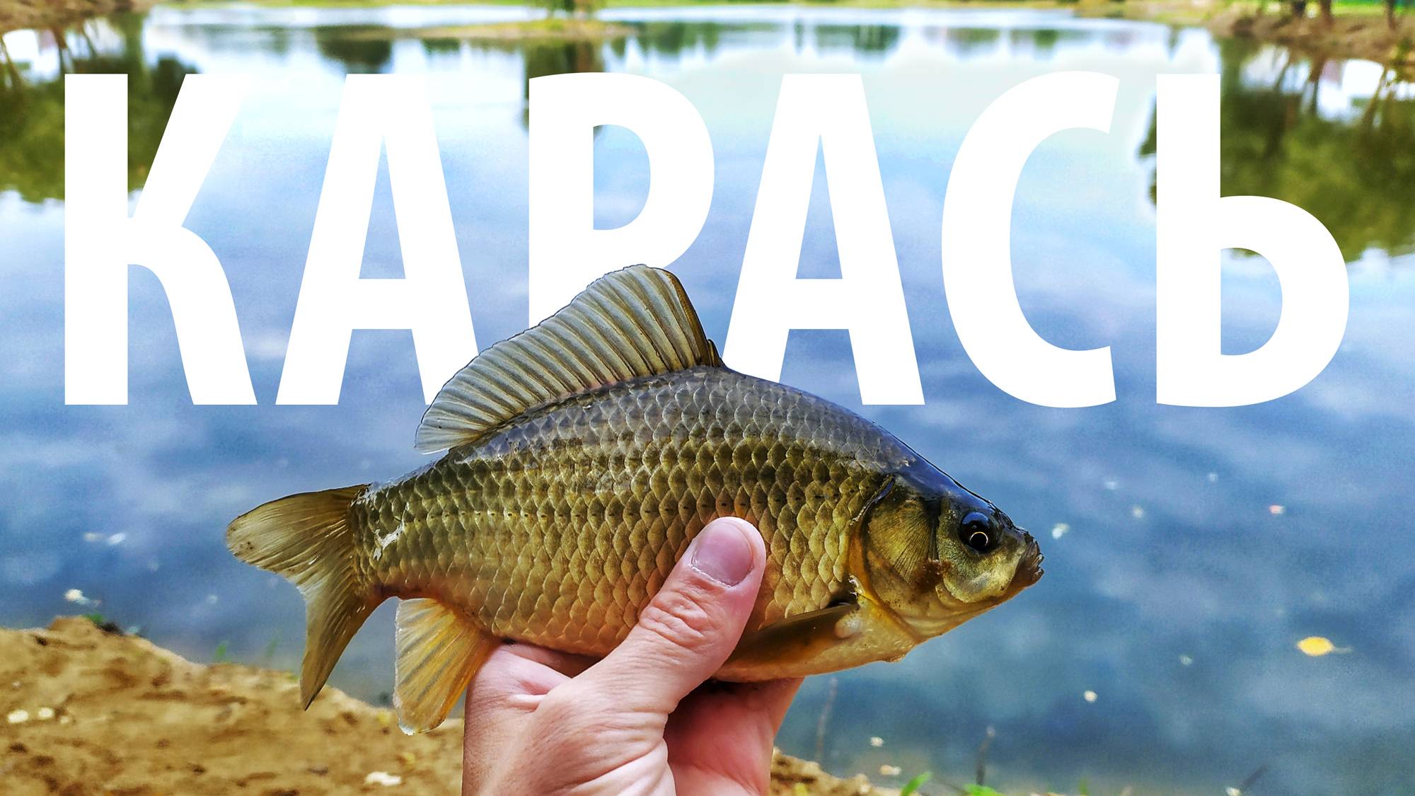 Ловля карася на хлеб. Рыбалка в Апрелевке.