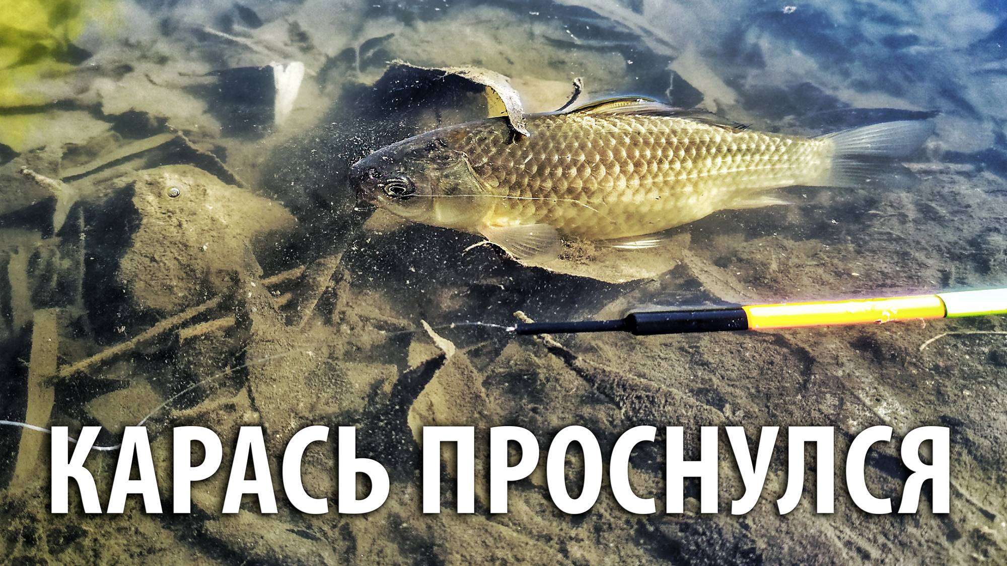 Карась проснулся! Весенняя рыбалка в Москве. Ловля карасей на поплавок.