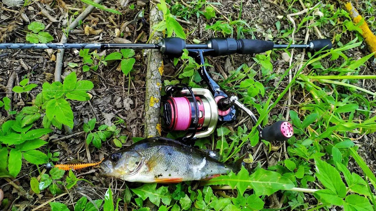 Обычный пруд, а окунь здесь достойный! Не рыбалка, а море эмоций!