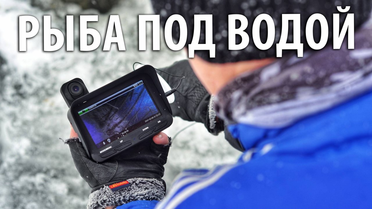 Поведение форели под водой. Как ведёт себя рыба зимой.