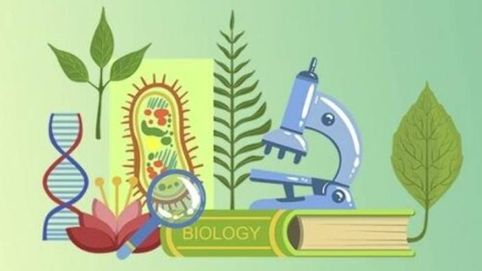 Биология 7 класс. Членистоногие.--