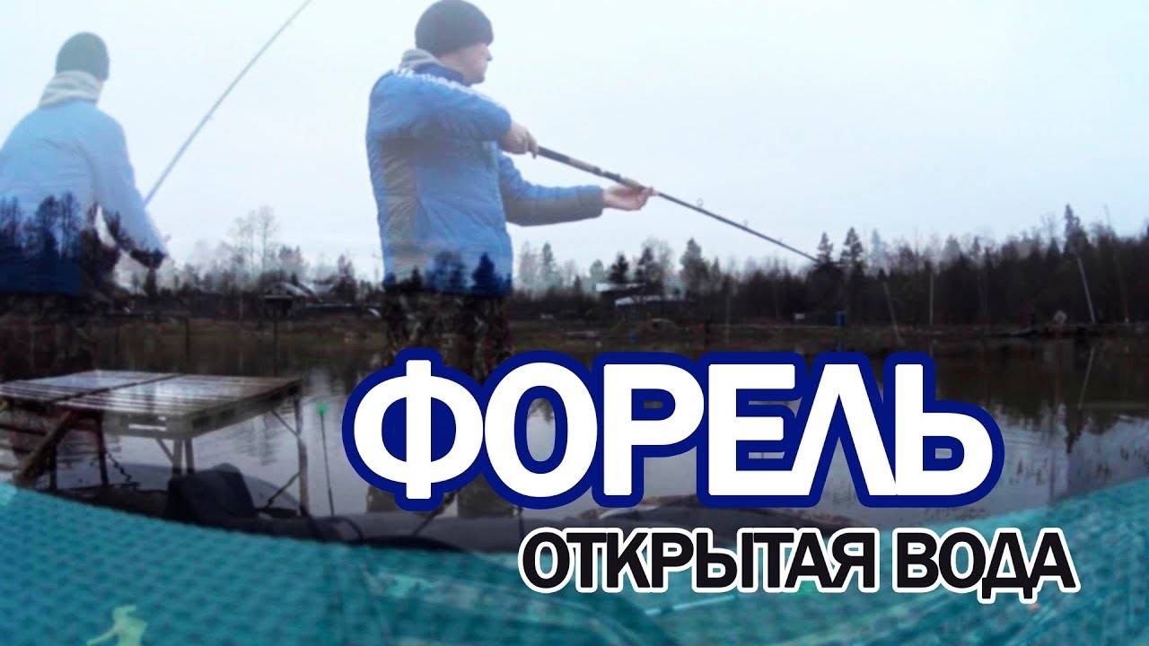 Форель с открытой воды на спиннинг. Платная рыбалка в Московской области.