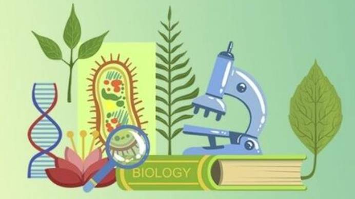 Биология 5 класс. Общая характеристика грибов.--