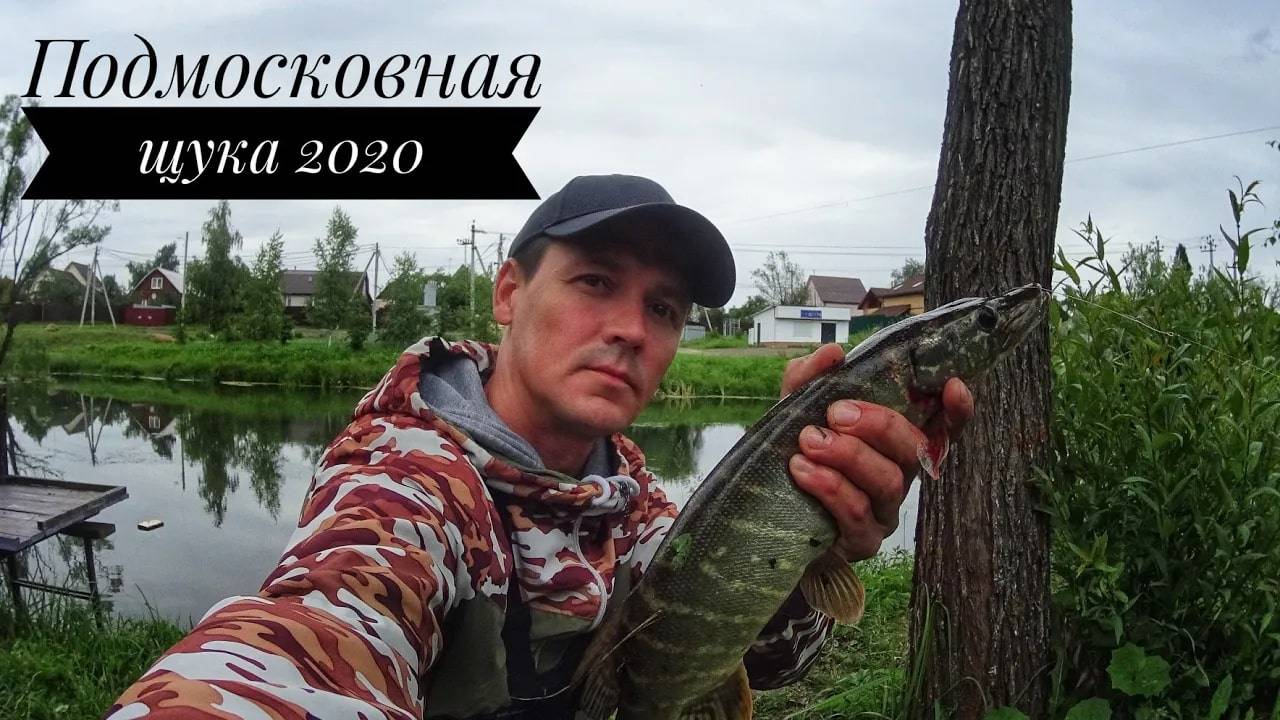 Щука в Подмосковье клюёт! Рыбалка.