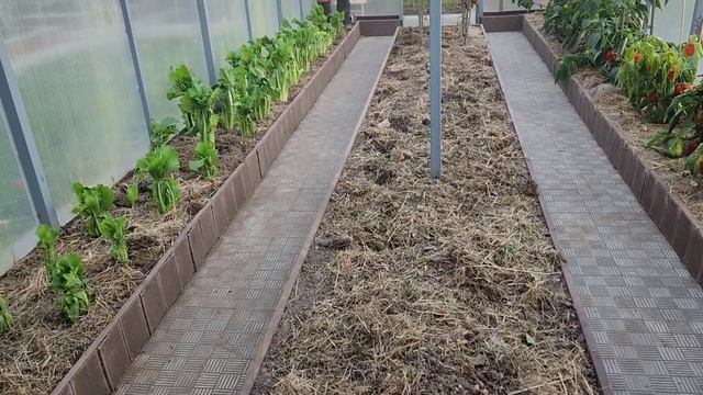 Огород, зефир и пирожки... дела мои... обычные.