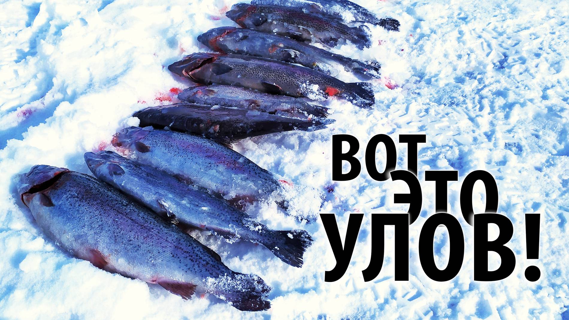 Платная рыбалка на РК "Посейдон" (Степановские пруды). Ловля форели зимой.