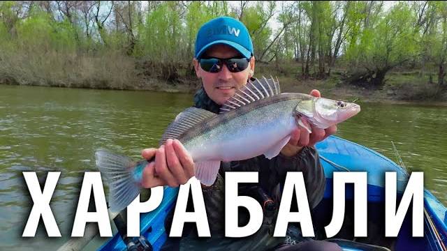 Харабали, Гремучий. Весенняя рыбалка на Ахтубе. Ловля судака в Астрахани.