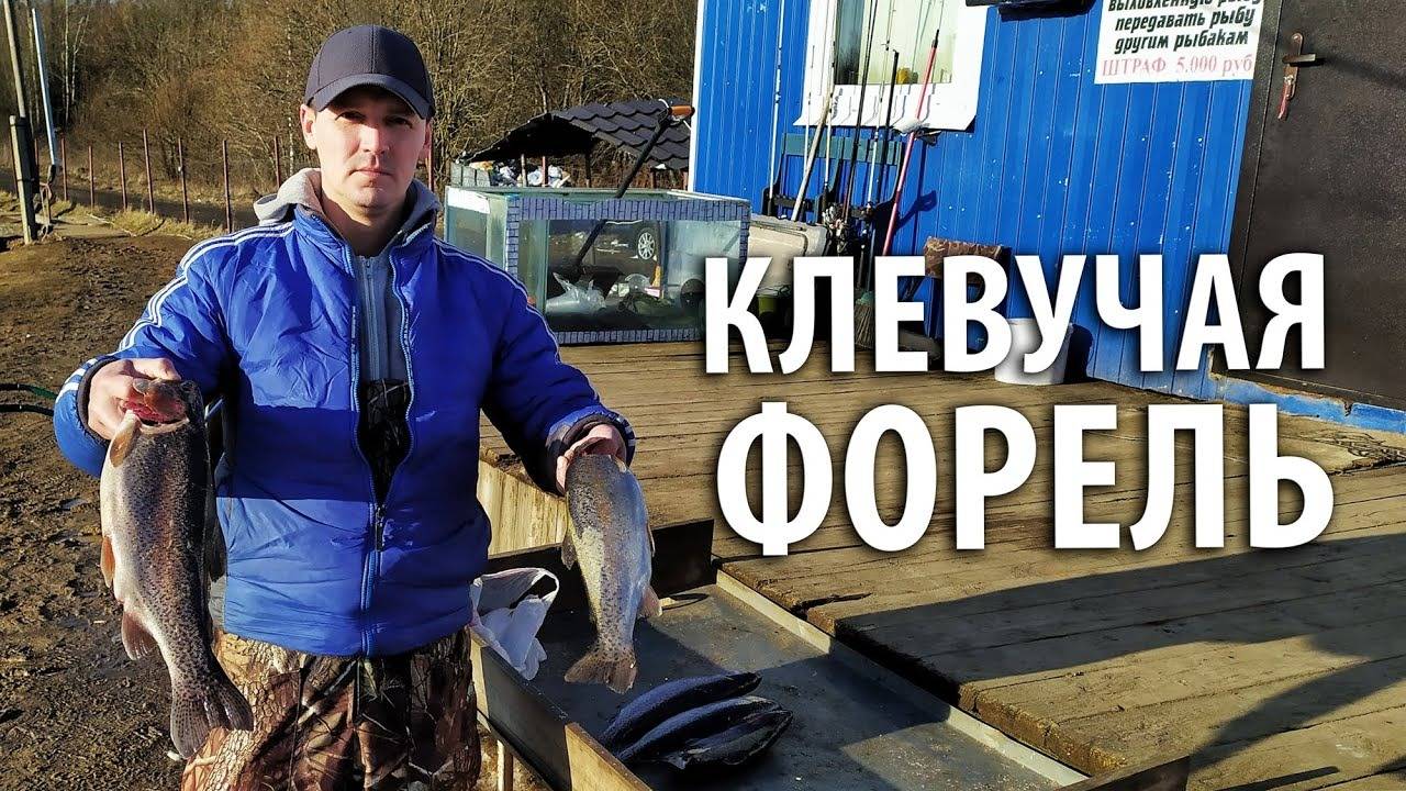 Активная форель дала жару! Форель клюёт на белую резину. Весенняя рыбалка.