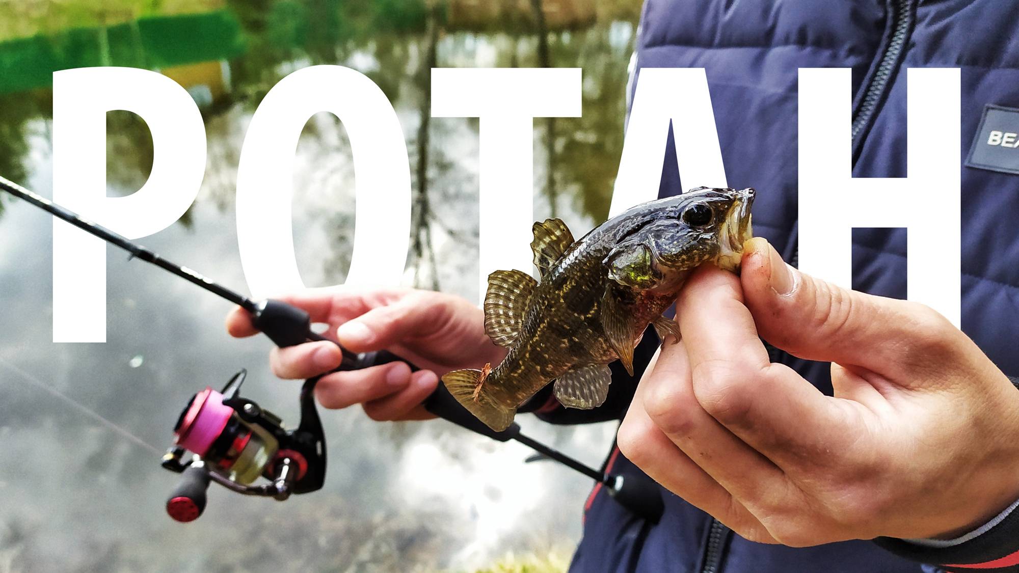 Ловля ротана на спиннинг #рыбалка