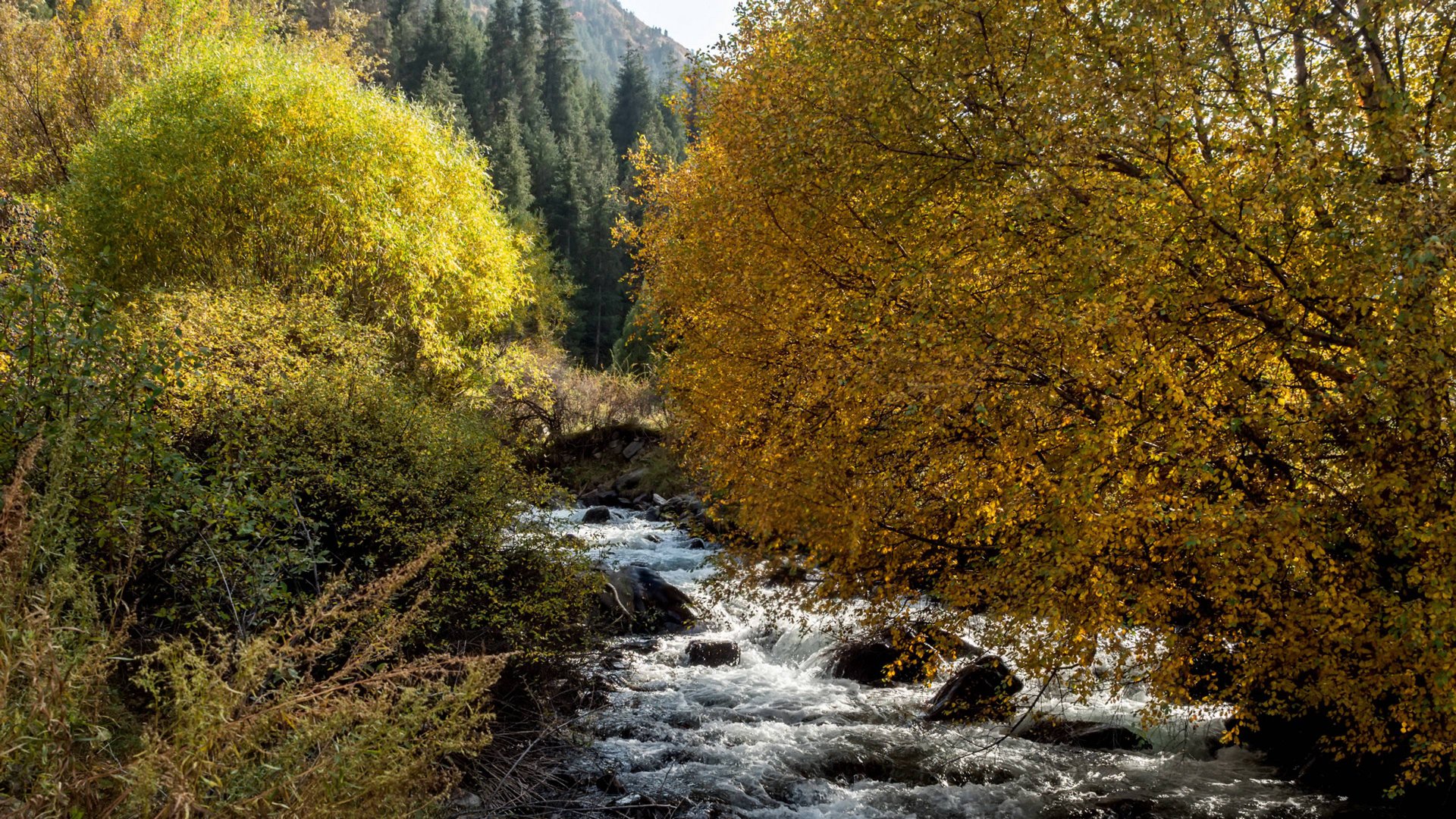 Осенняя поездка в ущелье Шамси