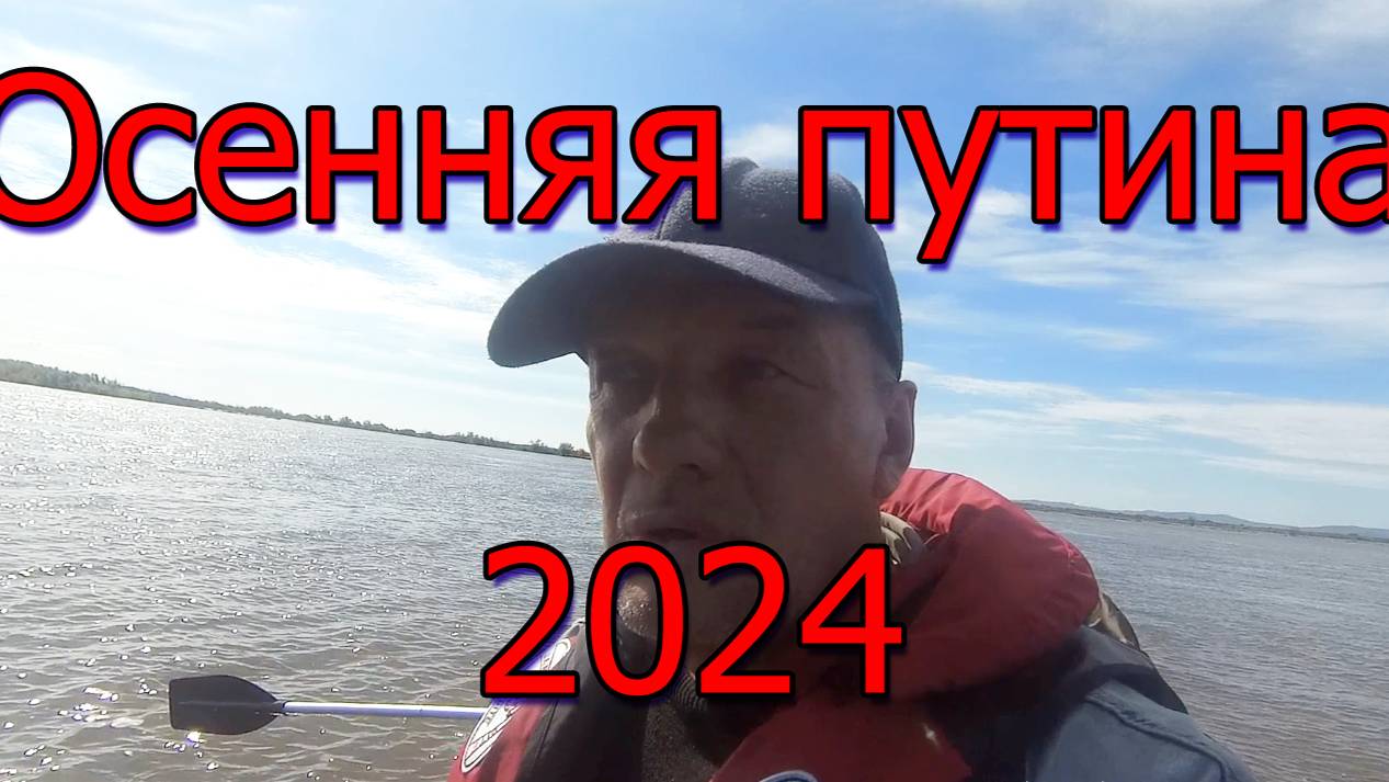 Осенняя путина 2024. Поход за грибами 🍄🐬