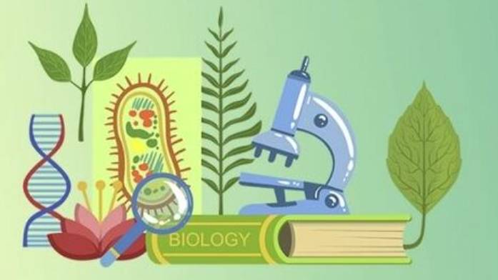 Биология 8 класс. Газообмен  в легких и тканях.--