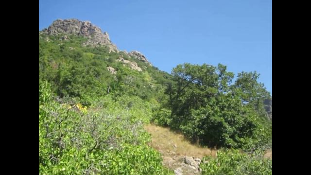 Синие горы. Болгария 2019.