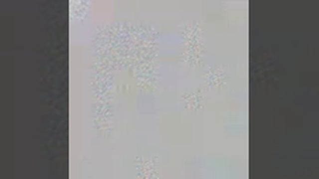 Прямая трансляция - 3 тур Чемпионата России среди женских молодёжных команд.