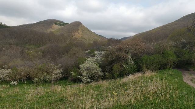 5 Кисловодск. Долина Очарования. Парк