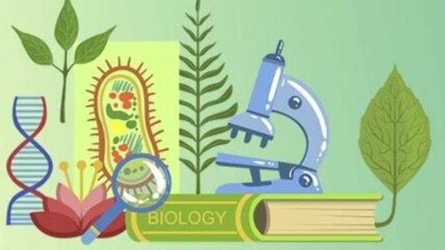 Биология 6 класс. Деление клетки.--