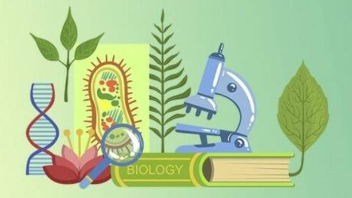 Биология 7 класс. Тип Хордовые.