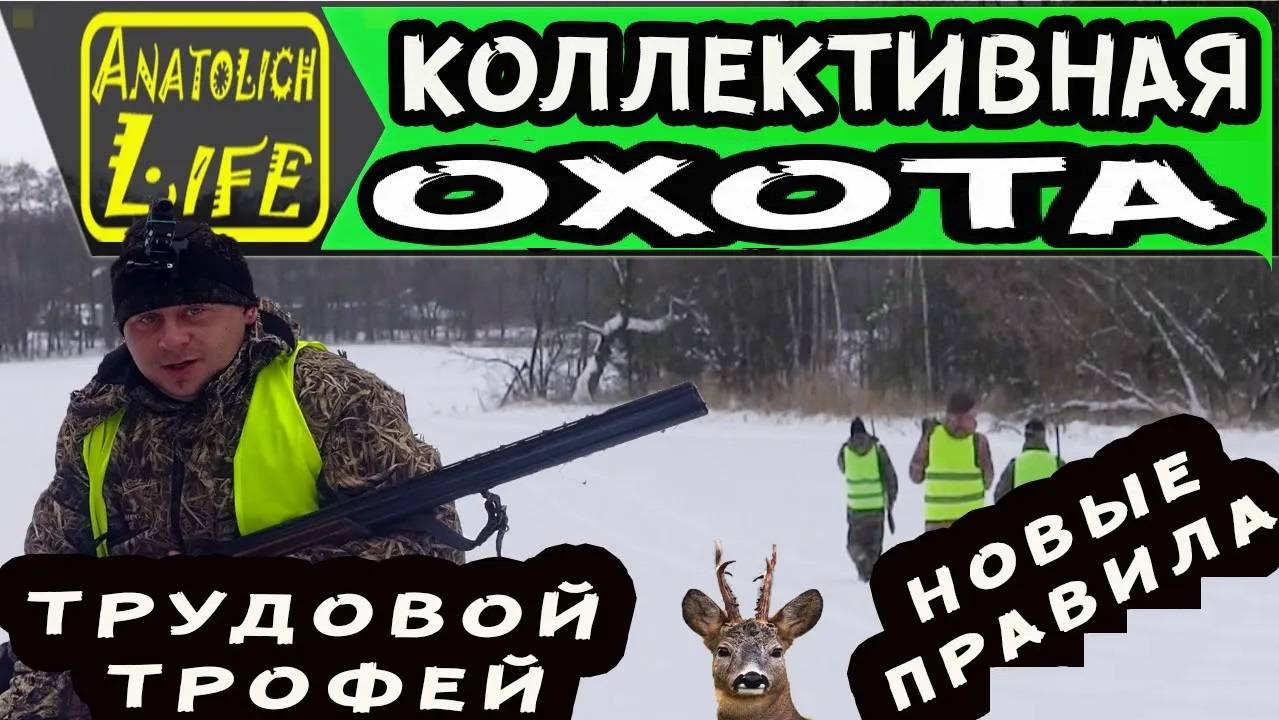 Охота. Коллективная охота на косулю! Первый трофей года.
