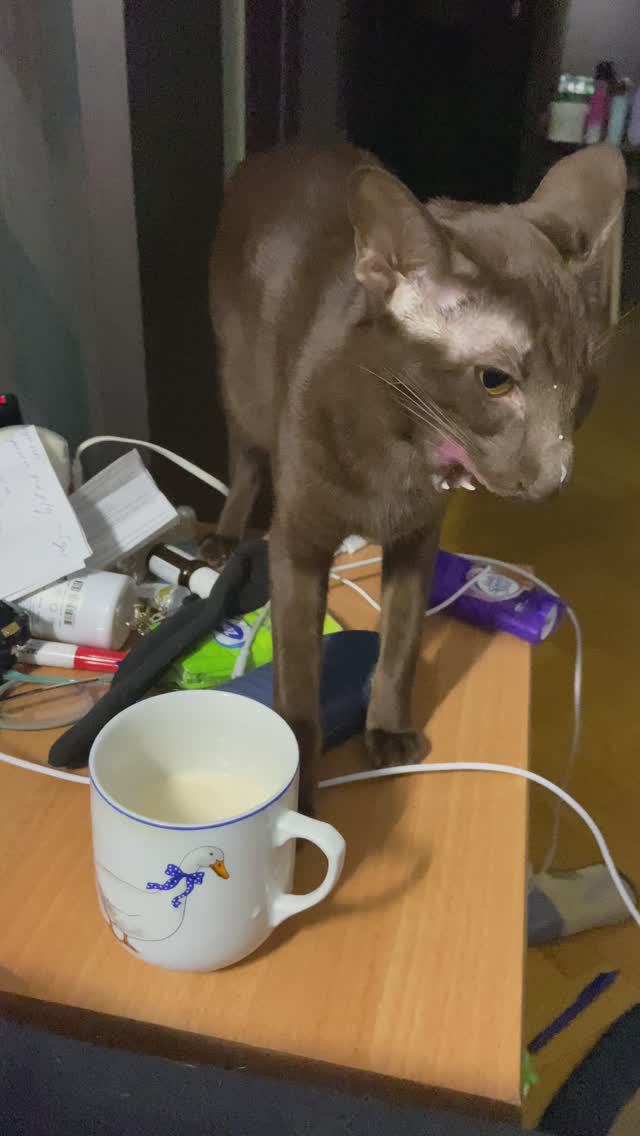 Из маминой чашки   Миша и Гриша