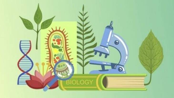 Биология 6 класс. Строение растительной и животной клетки. --