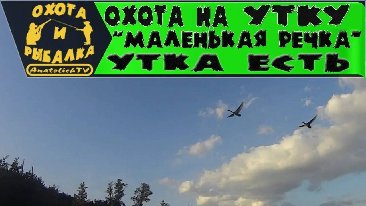 Охота на утку!  Маленькая речка- утка есть.