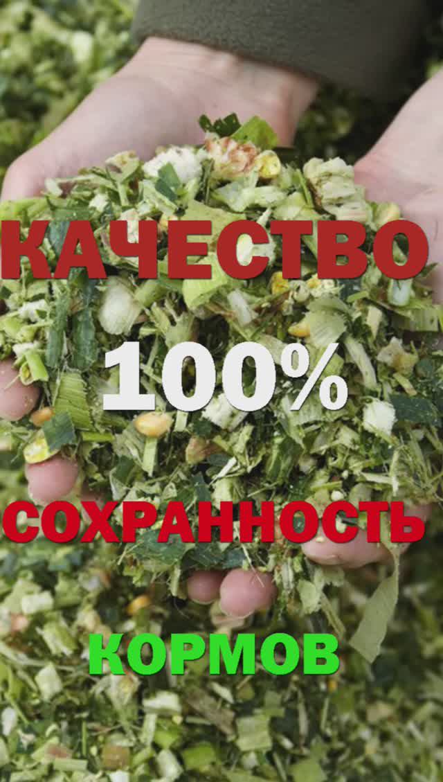 Качество и 100 % сохранность кормов