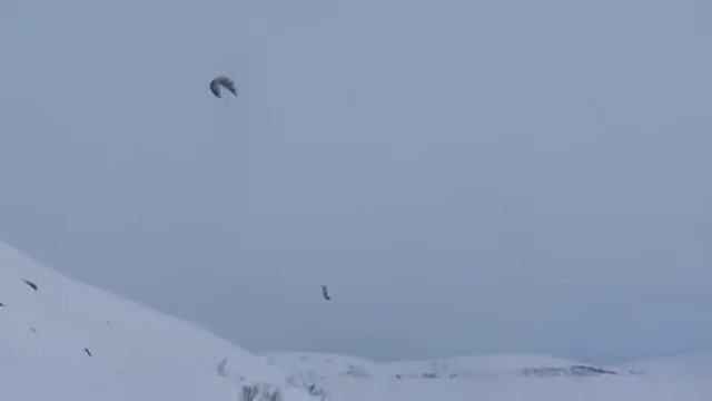 Белоснежная Тундра. Сноукайтинг 2010 часть 1